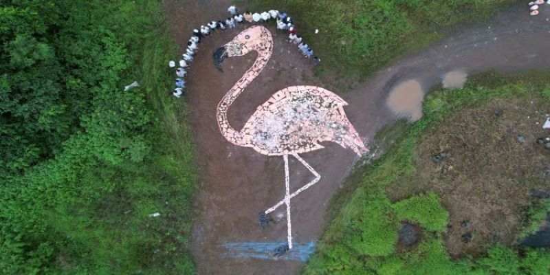 Flamingo Created From 450 Kg Trash Found In Mangroves